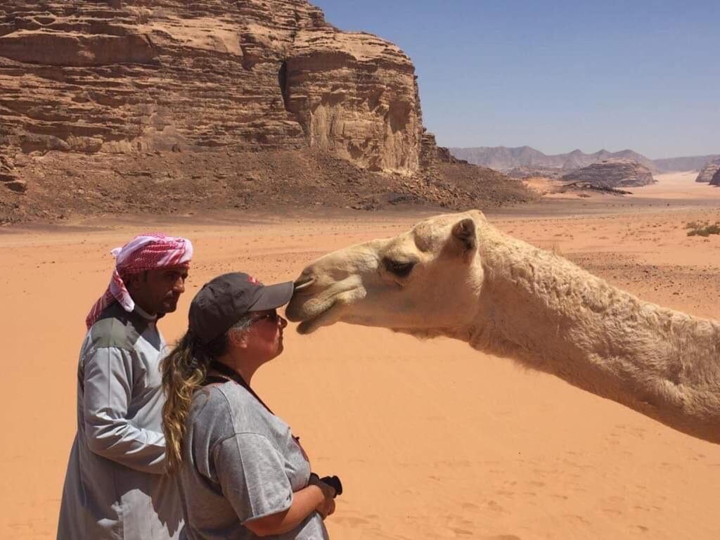 Wadi Rum-bedouin Tents And Jeep Tours Luxury tent Wadi Rum