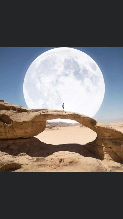 Luxury tent Wadi Rum-bedouin Tents And Jeep Tours *