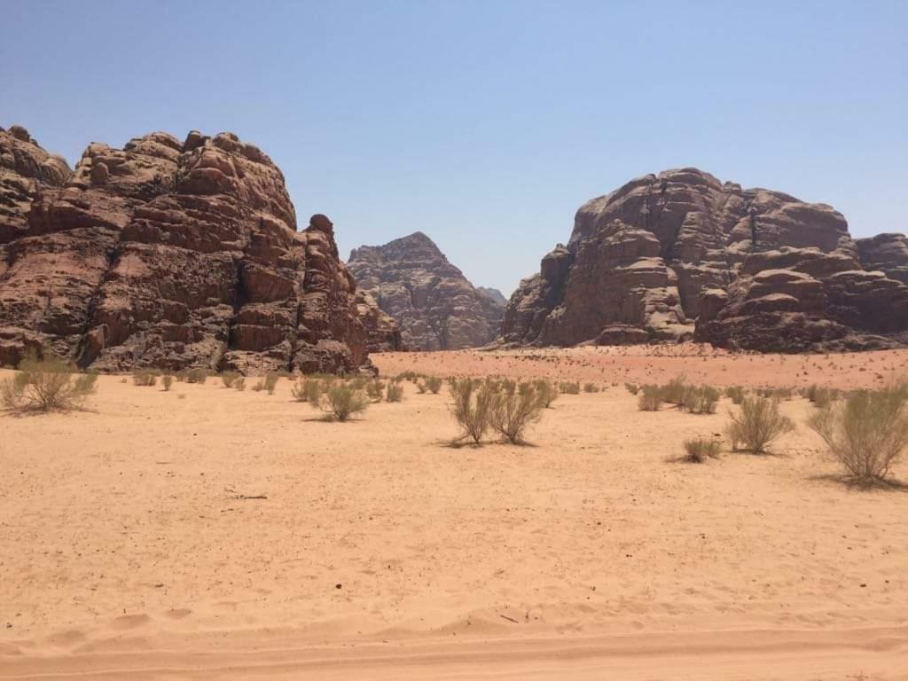 Wadi Rum-bedouin Tents And Jeep Tours * Wadi Rum