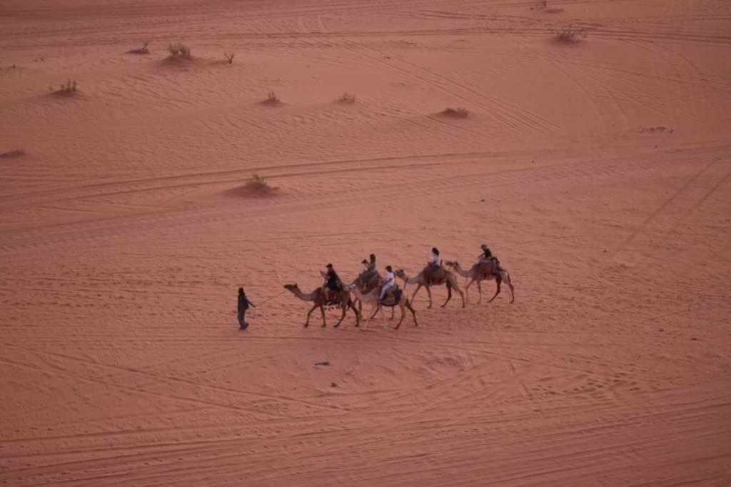 Luxury tent Wadi Rum-bedouin Tents And Jeep Tours Wadi Rum