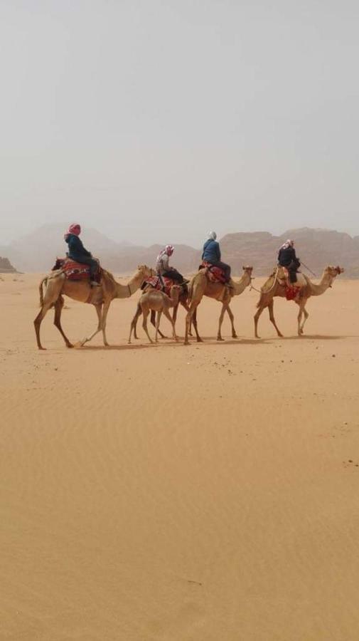 Wadi Rum-bedouin Tents And Jeep Tours